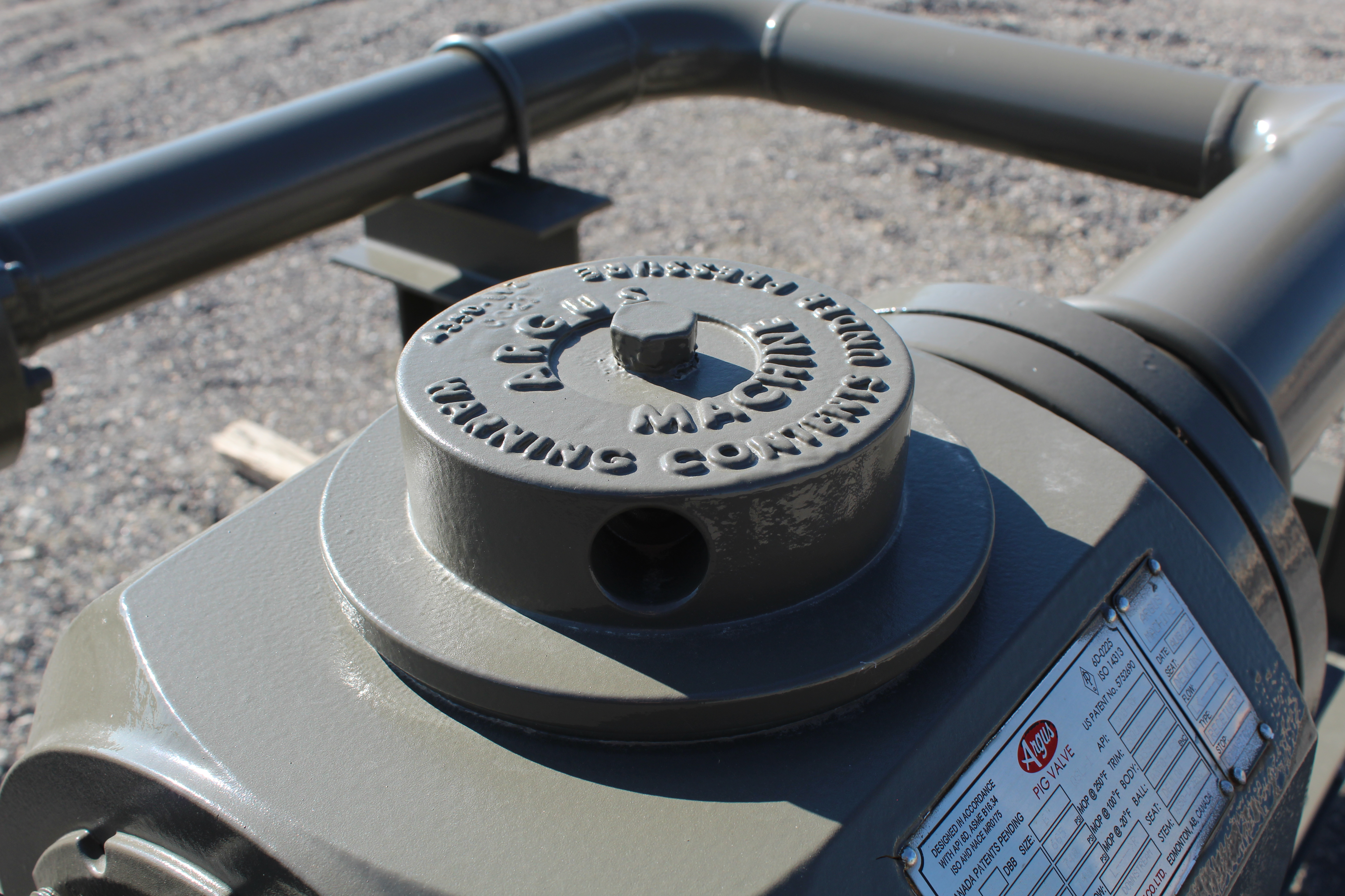 Pig Receiver, 6", 300#