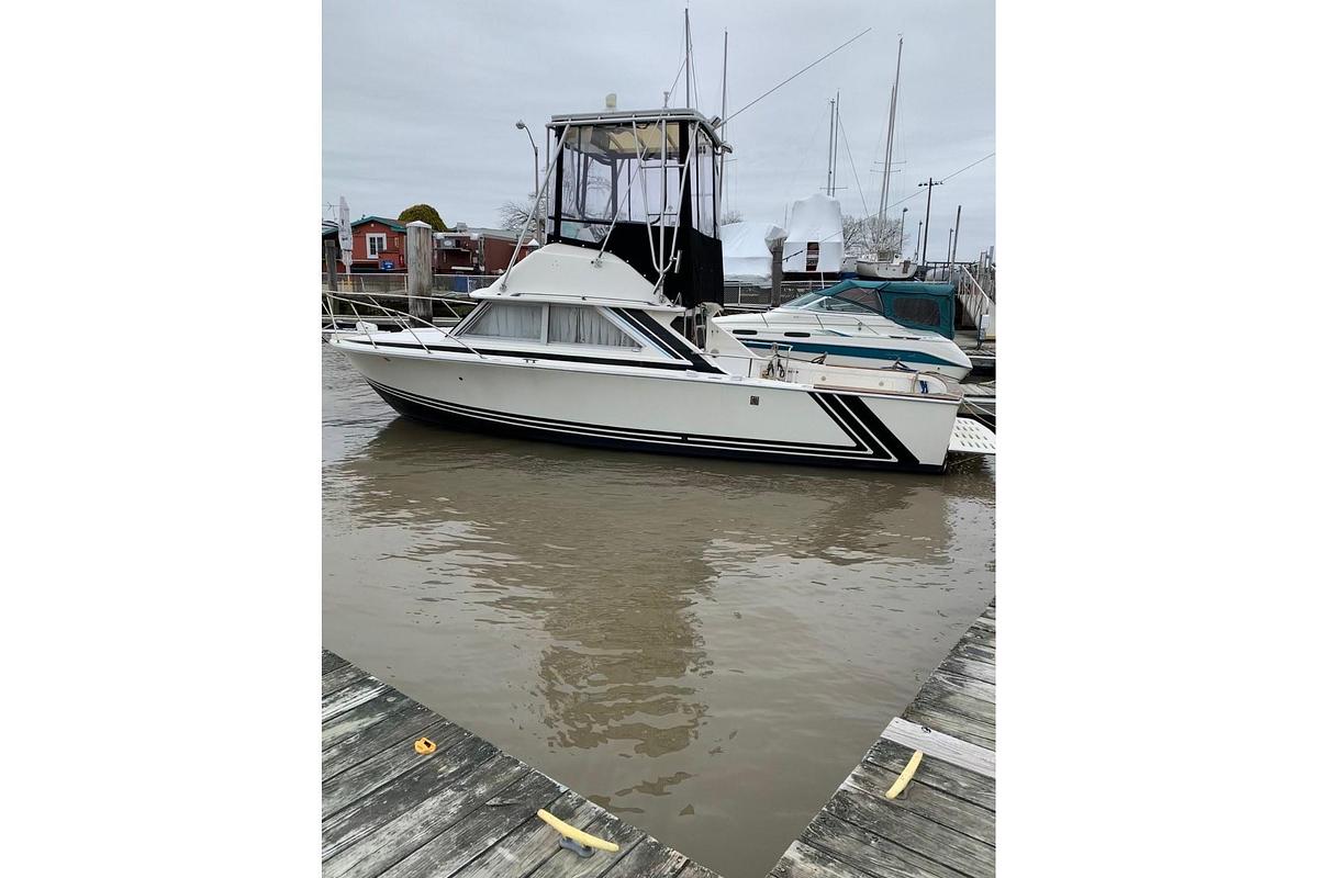 Used 1979 Bertram 28 Flybridge Cruiser