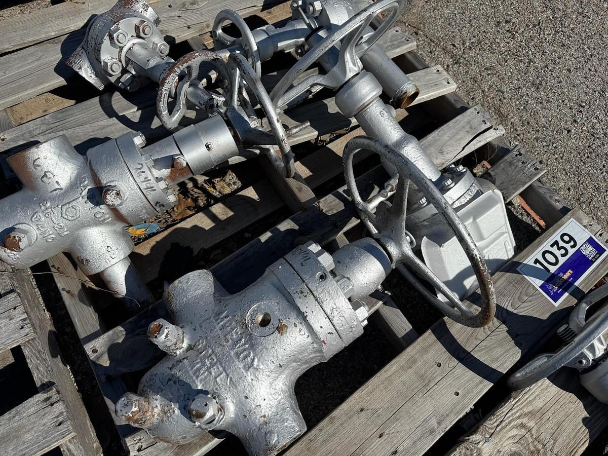 Used Valves