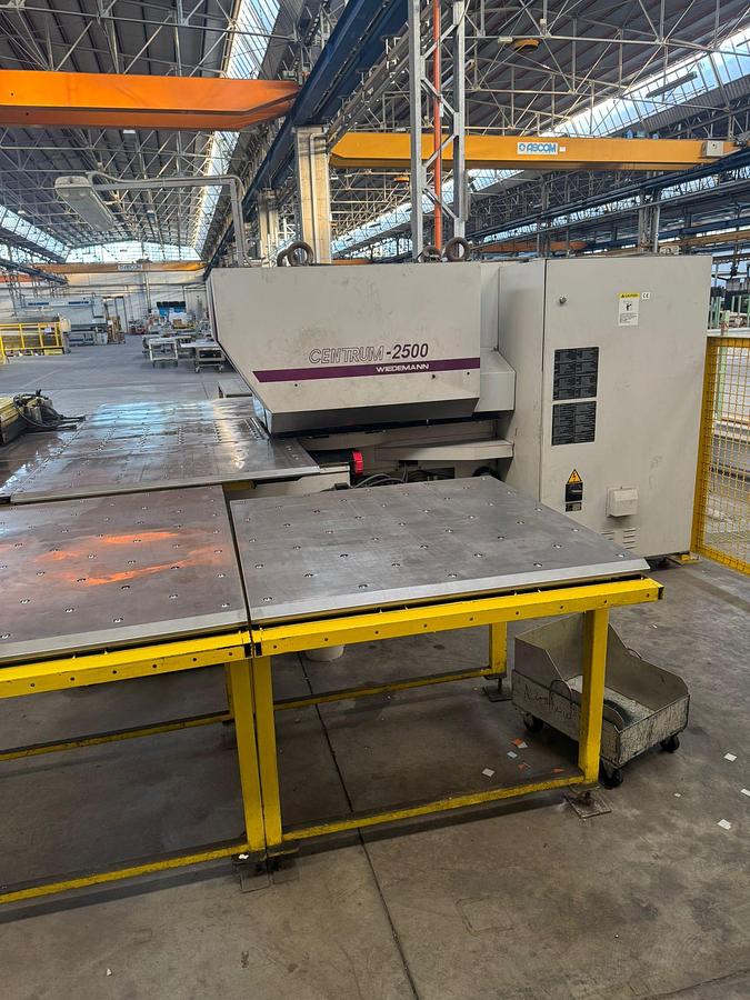 Usato PRESSA PUNZONATRICE WIEDEMANN USATA 