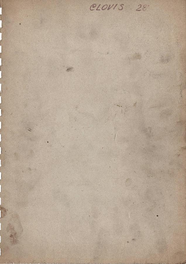 Usato LIBRO TORNIO MERLI CLOVIS