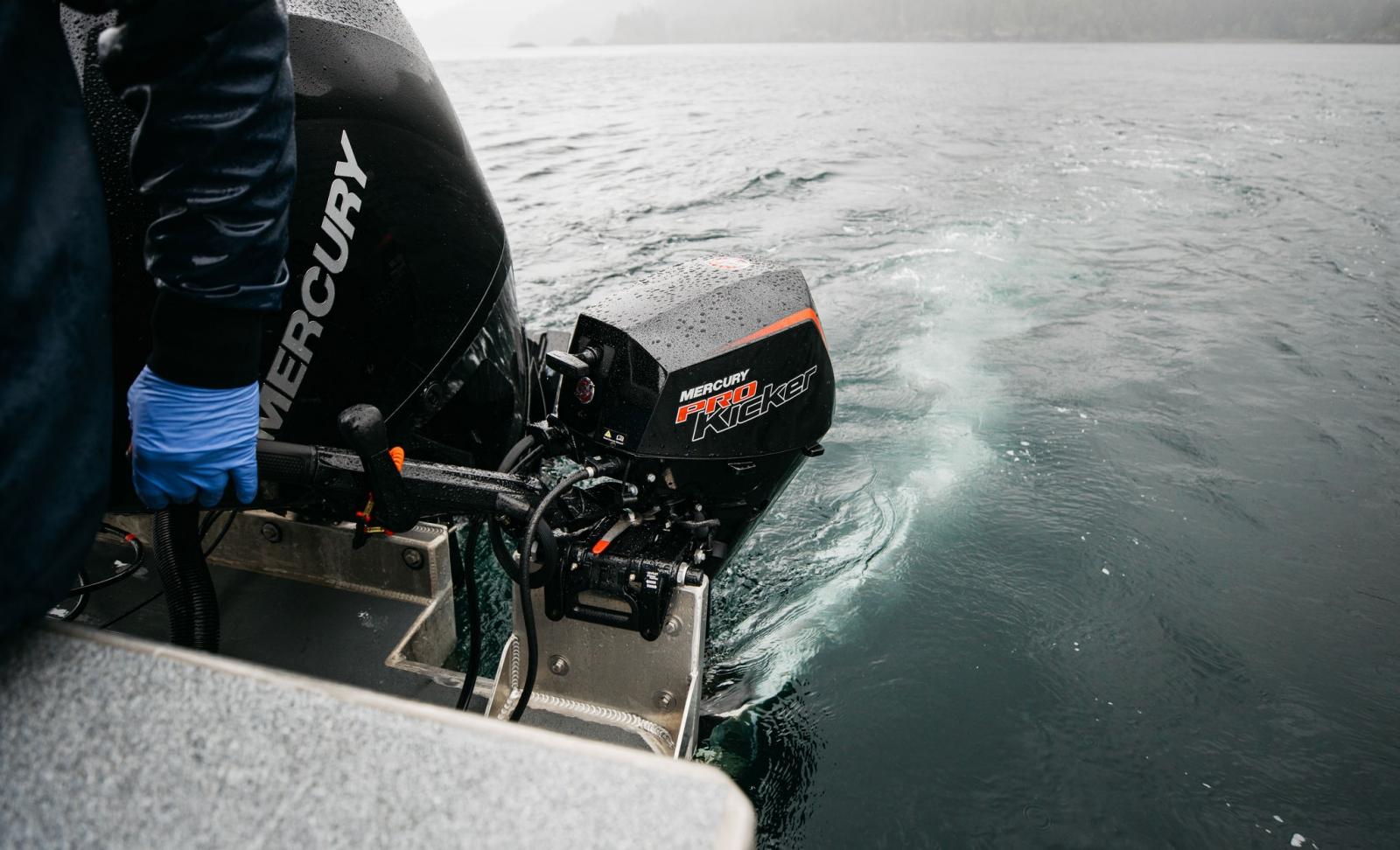 FourStroke ProKicker 9.9-25 hp