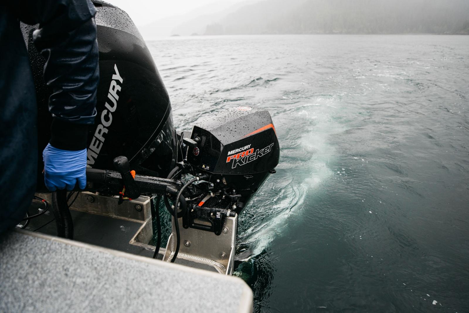 FourStroke ProKicker 9.9-25 hp