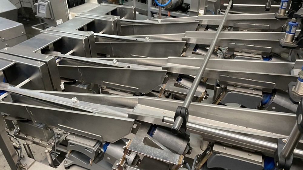 Used Newweigh lineair weighing and packing line