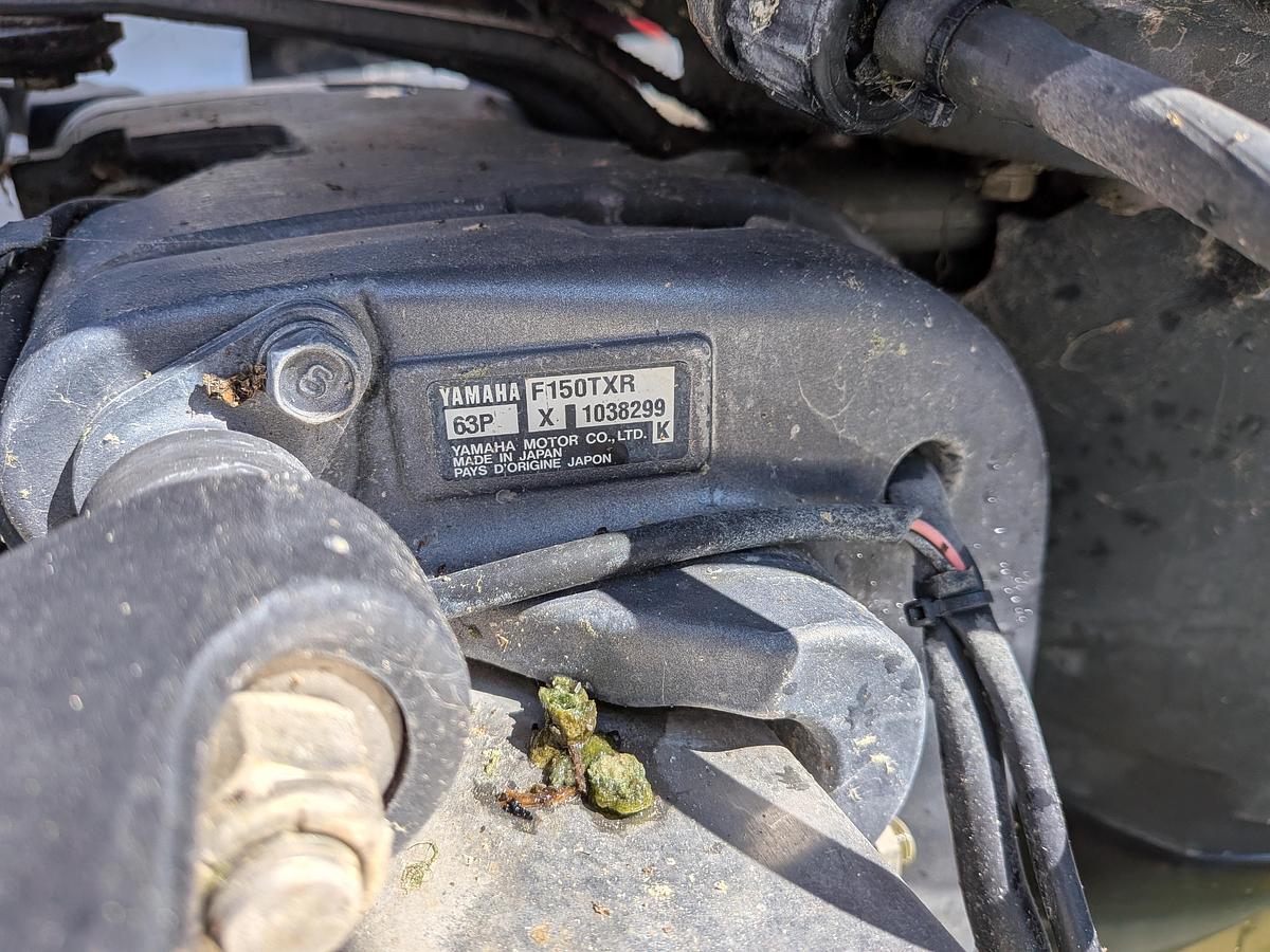 Used 2006 Triumph 215 Center Console