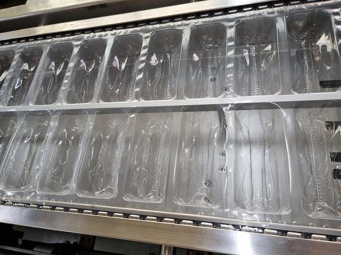 Used MULTIVAC R 530 MC