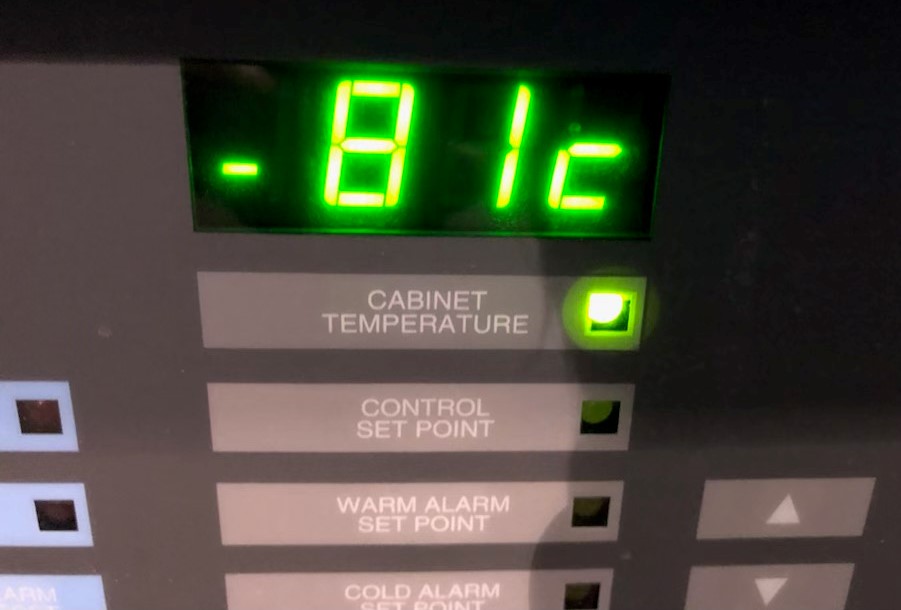 Used Sold Revco ULT25865SID36 UltraLow Freezer at Chemistry RG