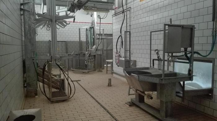 Used Complete cattle abattoir, 10-15 heads per hr