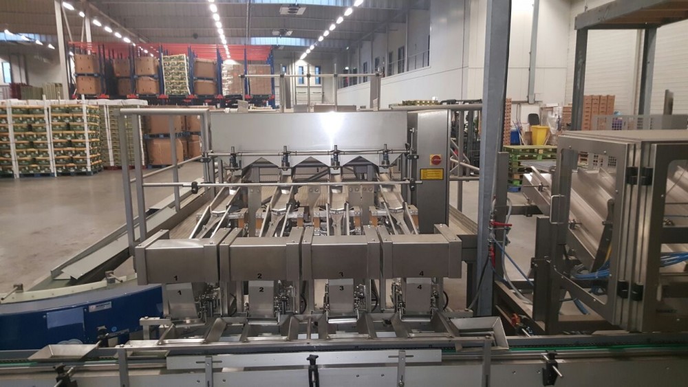Used Newweigh lineair weighing and packing line