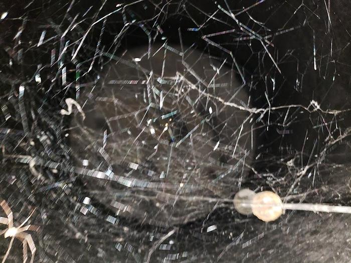 Used Used Buffalo Steel Div. approximately 17,000 gallon vertical carbon steel pressure tanks