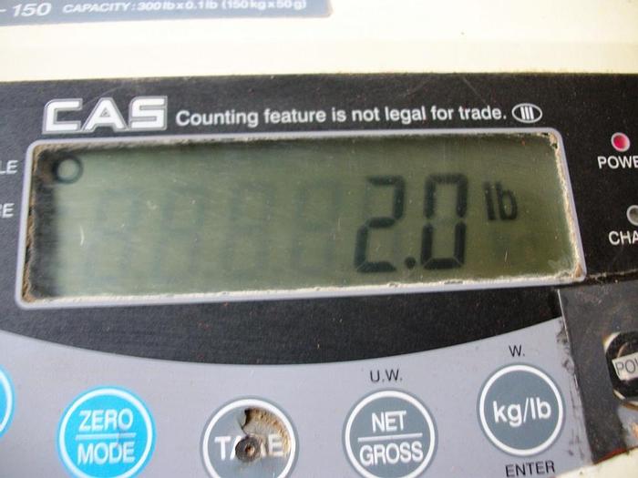 Used Scale, Platform, 15" X 20", CAS, Mdl BW-150, Bench, S/st #S741093