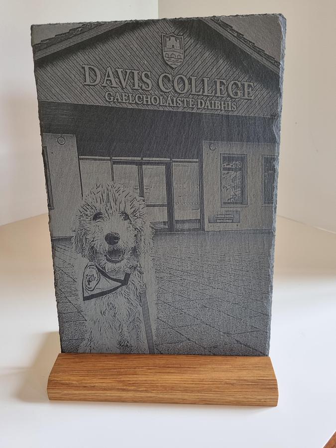 Used 2022 Epilog Fusion Edge 24 Laser Cutter & Engraver | 60W CO₂ Laser | BOFA Extraction Included