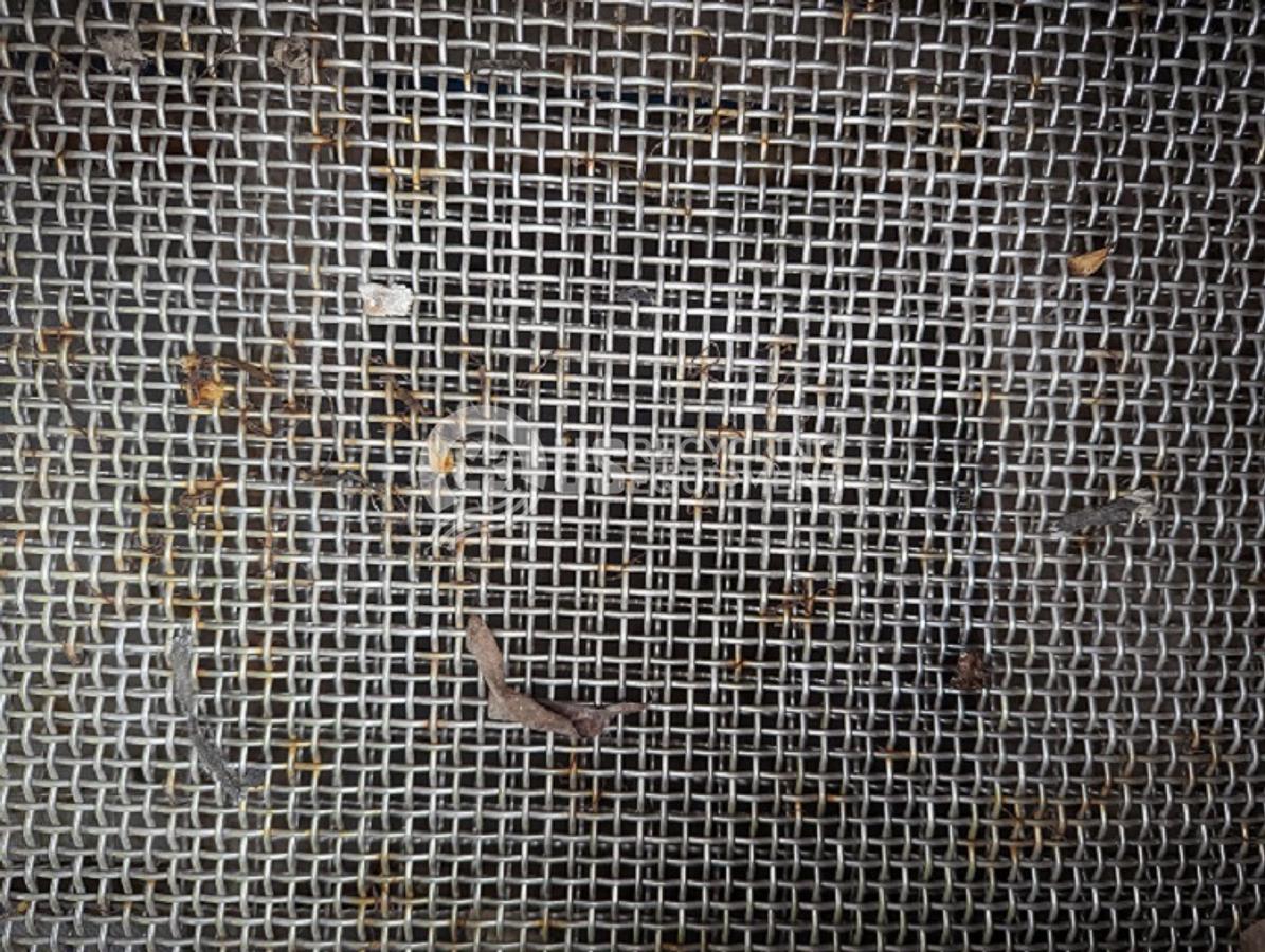 Used Sprout / Waldron Screener & Trough Conveyor