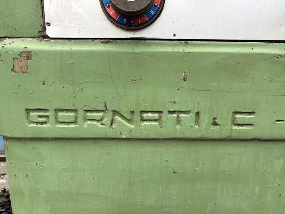 Usato TORNIO GORNATI LEOPARD