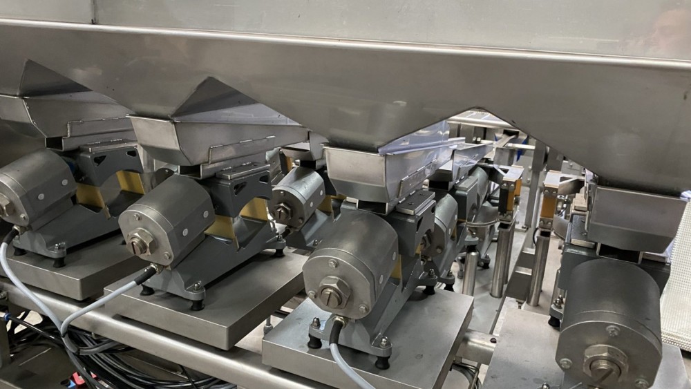 Used Newweigh lineair weighing and packing line