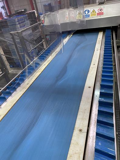 Used Stainless Steel Trimming Line with take-away waste conveyor 5m L 1.1m W