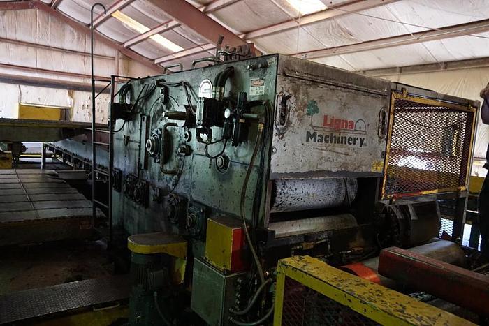 Used LIGNA 10 x 36 Thin Kerf Gang