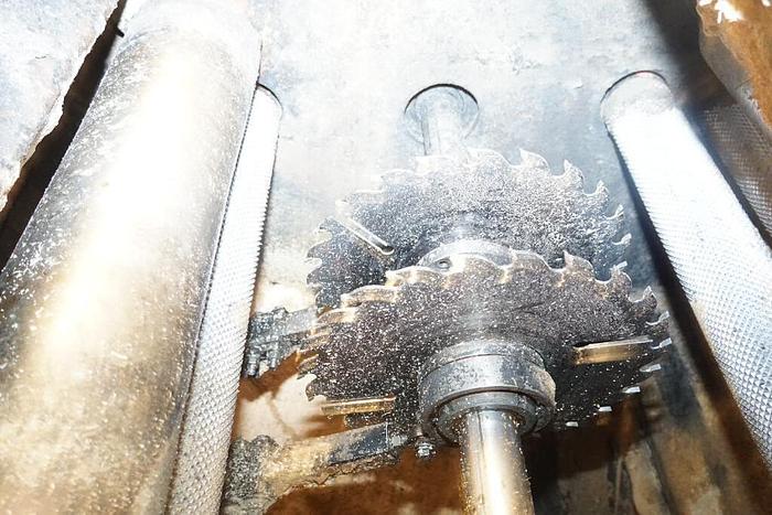 Used LIGNA 2-Saw Board Edger