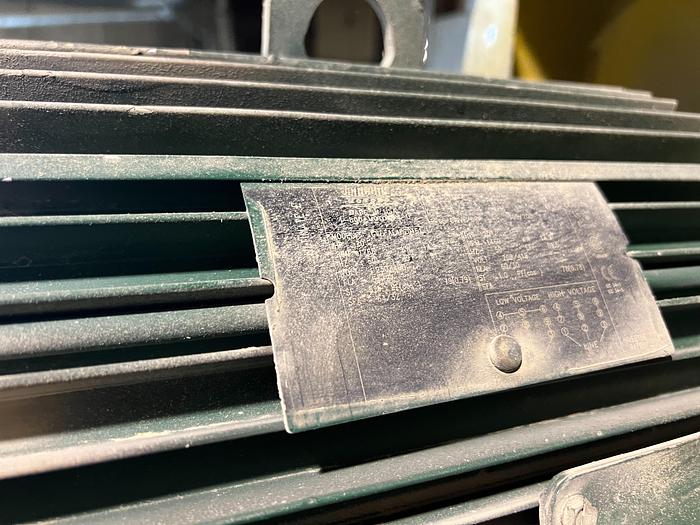 Used Pendu JR Gang Saw with Sizer