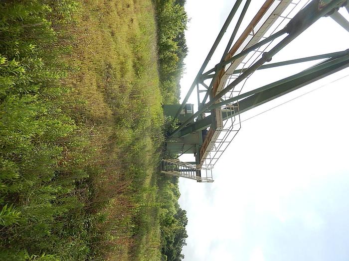 Used PSI Log Crane