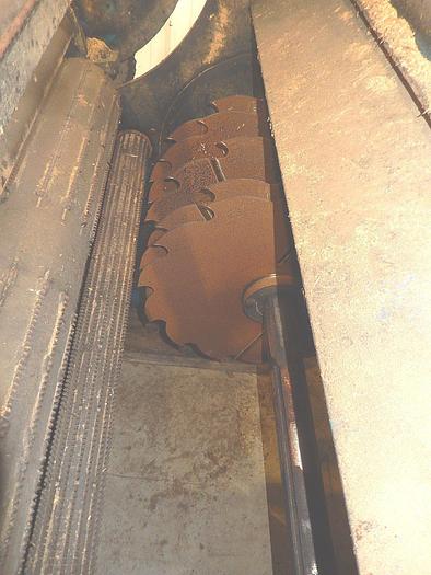 Used CORNELL Style Gang Edger Combo