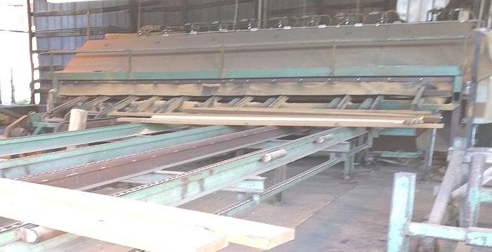 Used NEWMAN Sawmill Trimmer