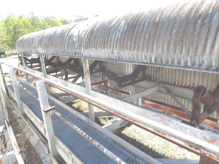 Used 137′ x 36″ Concave Belt Conveyor