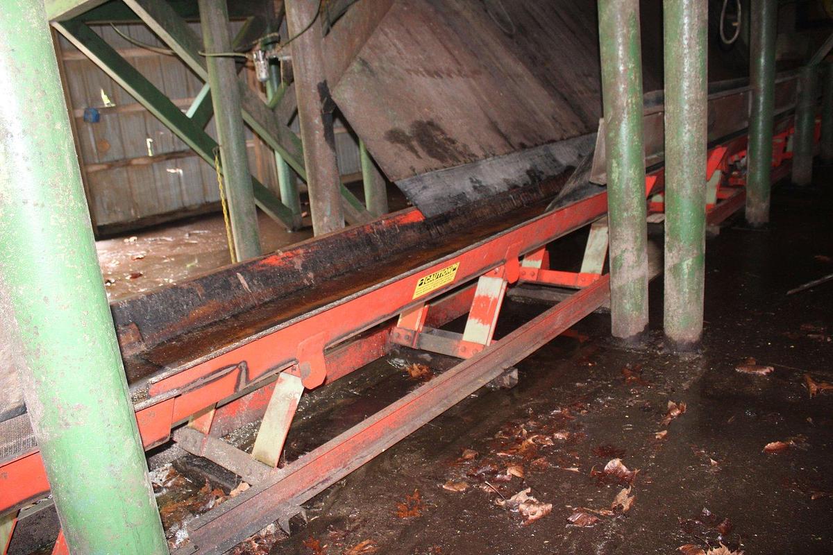 Used MORBARK Vibrating Conveyor 36' x 22"