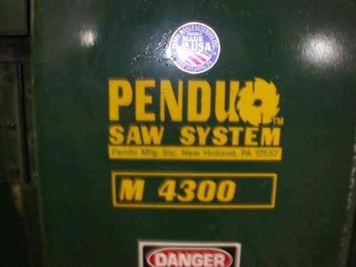 Used Pendu 4300M Gang Resaw