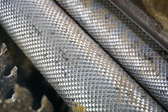 Used LIGNA 2-Saw Board Edger