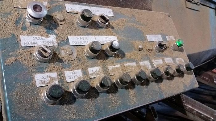 Used NEWMAN Sawmill Trimmer