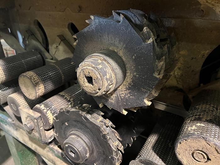 Used Pendu JR Gang Saw with Sizer