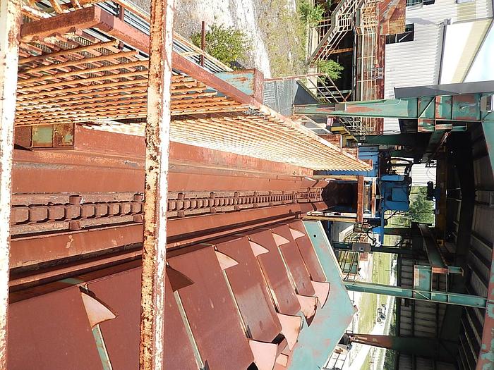 Used PSI Rotary Log Singulator