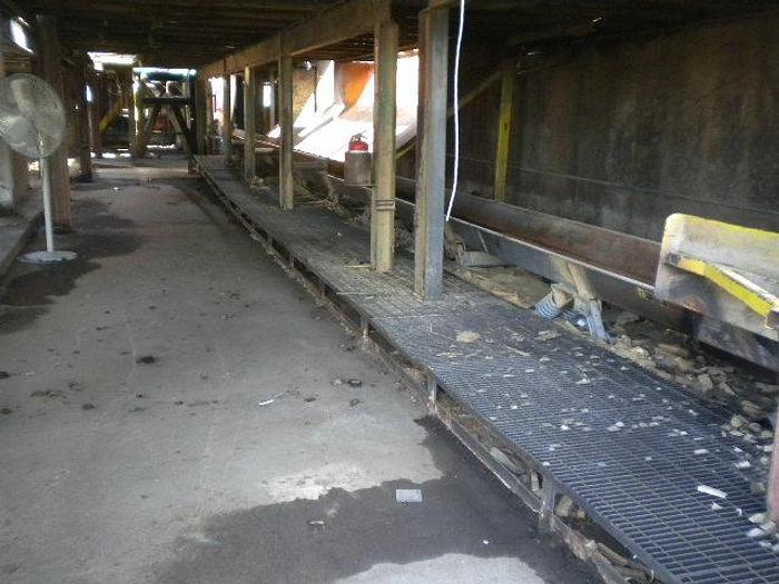 Used WEBSTER 71′ x 24" Vibrating Conveyor