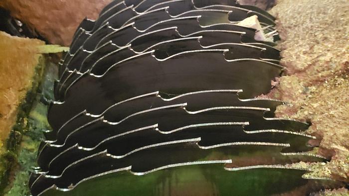 Used LIGNA 10 x 36 Thin Kerf Gang