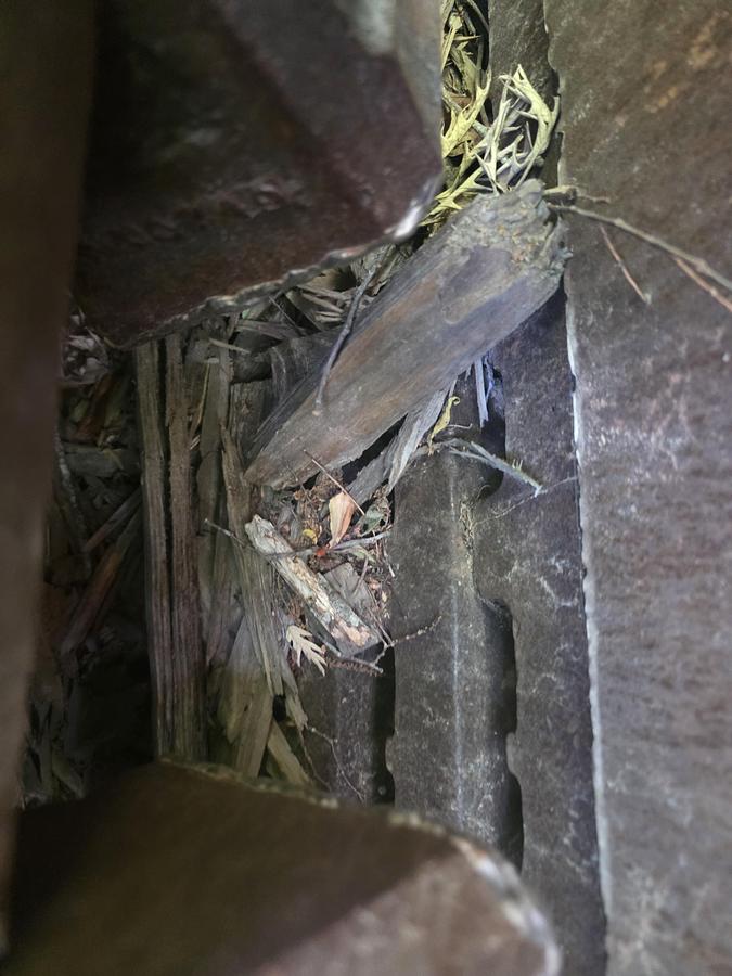 Used WILLIAMS 40 KS Top Feed Swing Hammer Hog