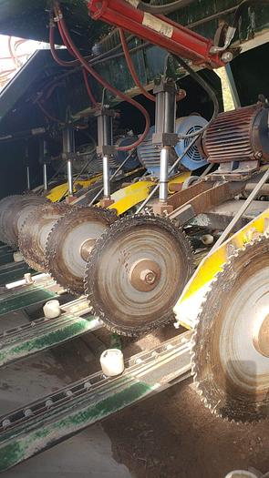 Used C&L Machinery Sawmill Trimmer