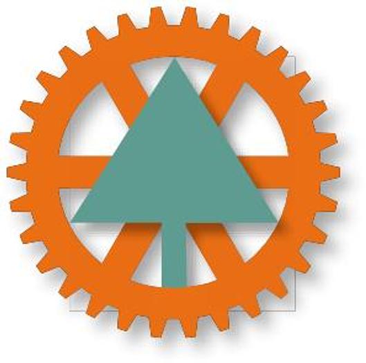 Used COE Veneer Dryer