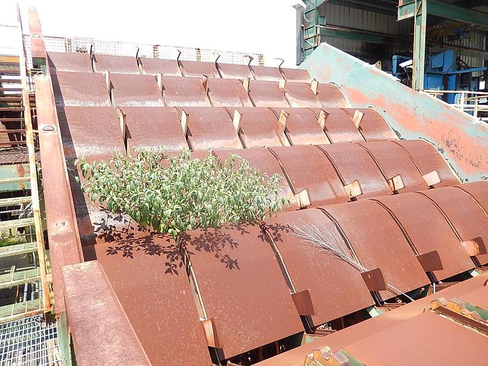 Used PSI Rotary Log Singulator