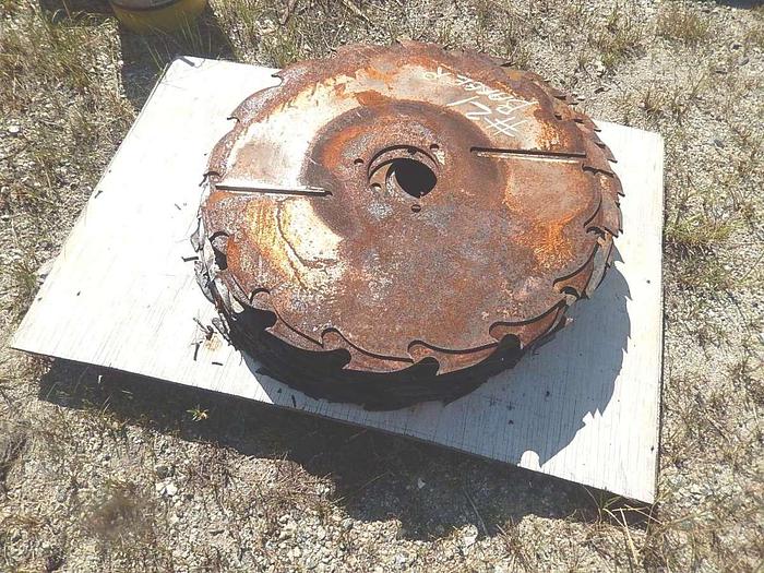 Used Ligna Gang 8×36 Top Arbor