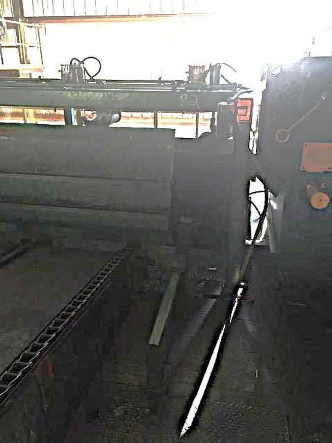 Used SALEM 2-Saw Edger