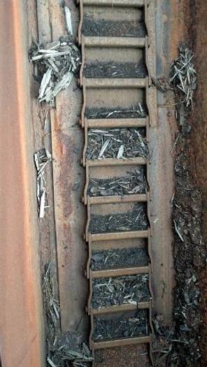 Used 80′ chain waste conveyor