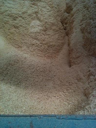 Used Portable Hopper/Feeder