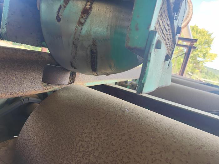 Used NEWMAN M-455 Pineapple Planer Feed Table