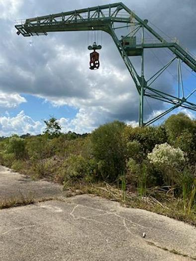 Used GW Systems Radial Log Crane