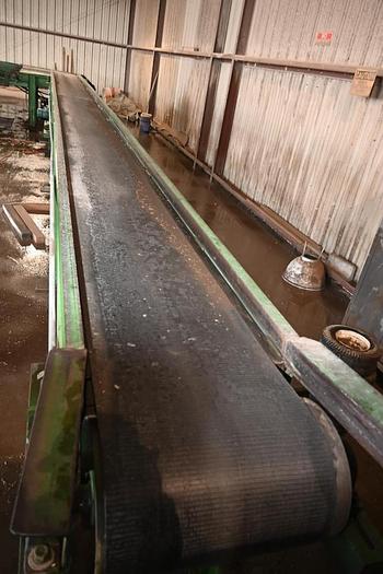 Used Planer Line Complete