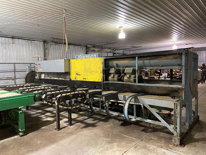 Used NEWMAN Sawmill Trimmer