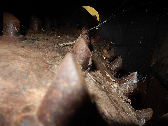 Used WSM Horizontal Hog