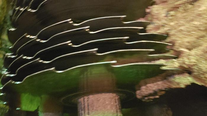 Used LIGNA 10 x 36 Thin Kerf Gang