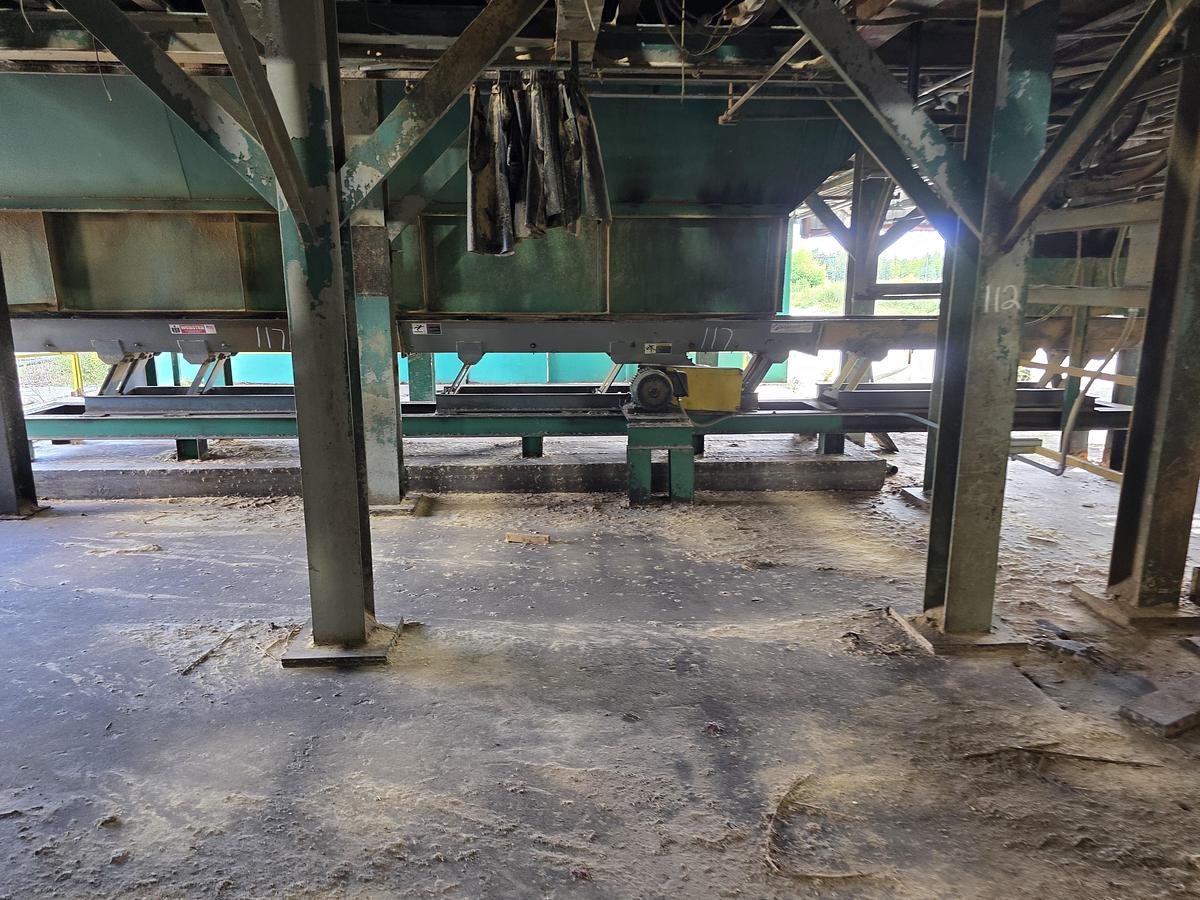 Used WEBSTER 30' x 24" Vibrating Conveyor